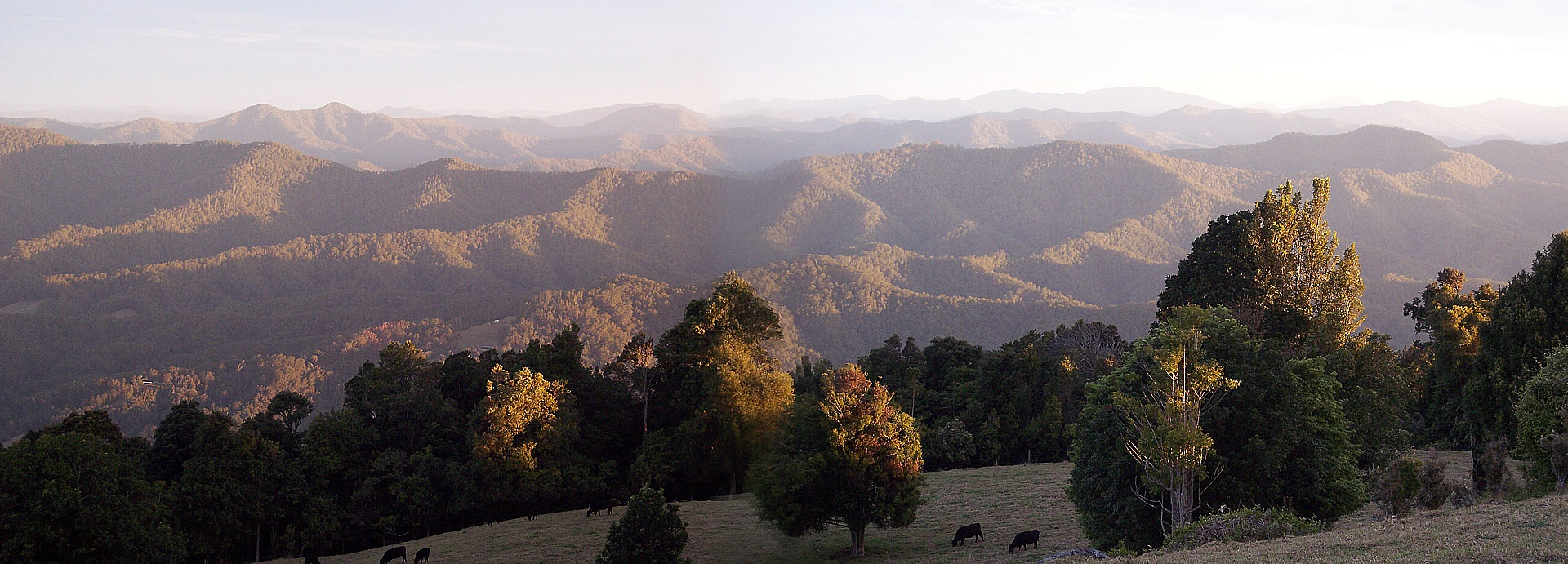 destination-dorrigo_banner-05