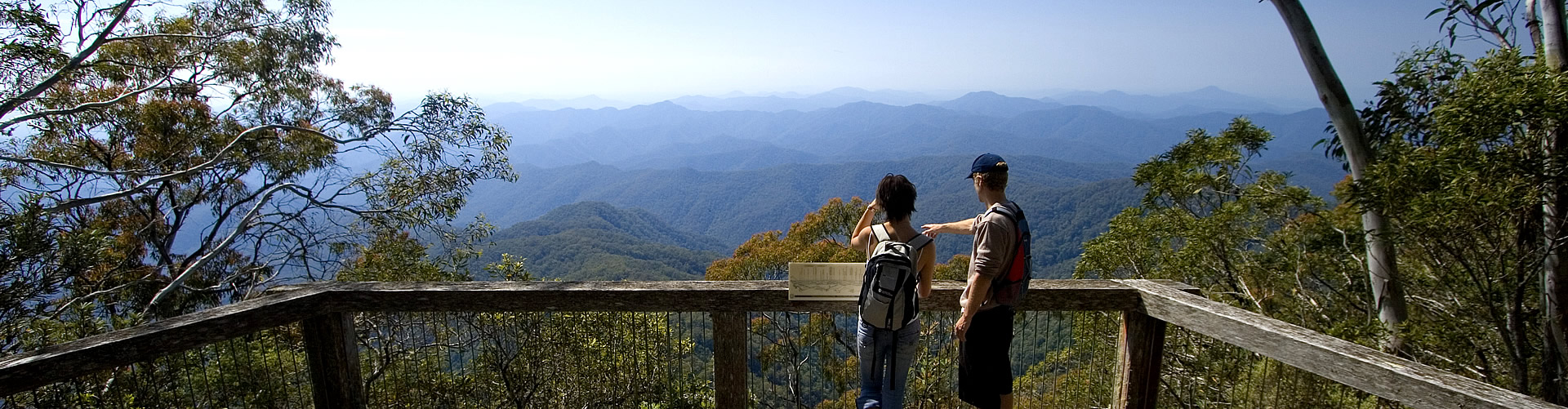 destination-dorrigo_banner-09