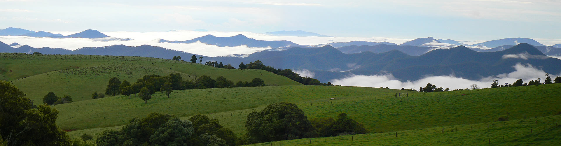 destination-dorrigo_banner-17a