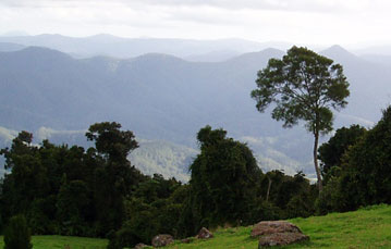 Dorrigo Mountain Resort